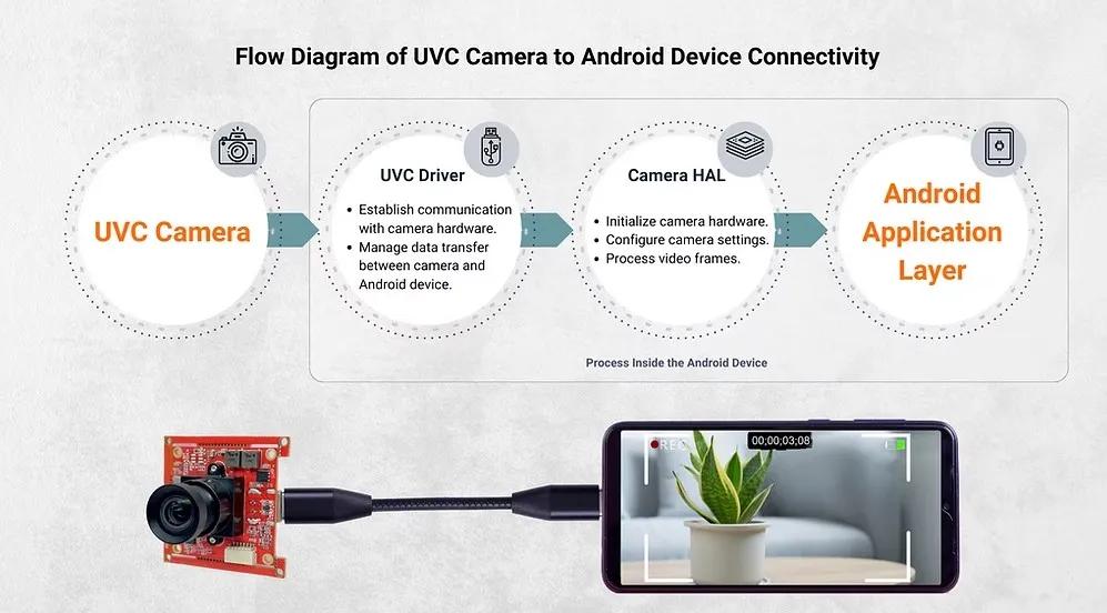 UVC Camera: A Complete Guide for Modern Imaging Solutions